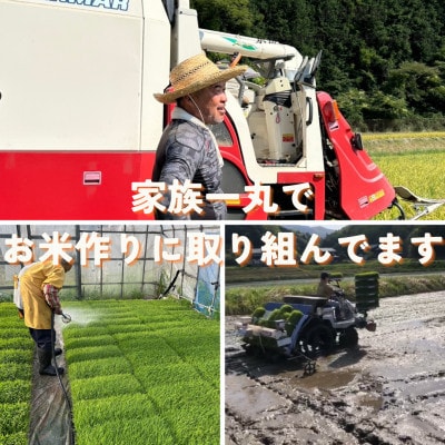 【毎月定期便】京都府与謝野町産 丹後コシヒカリ 精米5kg　特別栽培米 京の豆っこ米全9回