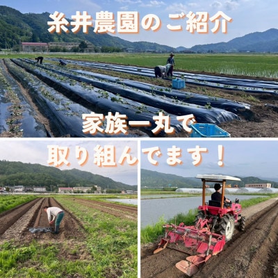 【熟成干し芋】京都府与謝野町産 紅はるか 農家こだわり京の干し芋 200g×3袋 糸井農園