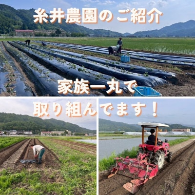 【熟成干し芋】京都府与謝野町産 紅はるか 農家こだわり京の干し芋 200g×10袋 糸井農園