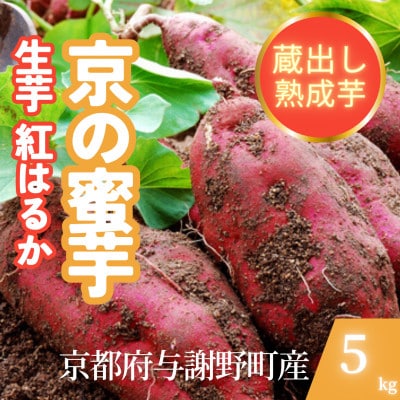 【先行受付】11月上旬以降順次発送 訳あり 京の蜜芋 紅はるか 生芋 約5kg 土付き