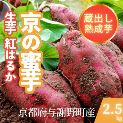 【先行受付】11月上旬以降順次発送 訳あり 京の蜜芋 紅はるか 生芋 約2.5kg 土付き