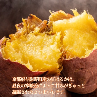 【先行受付】11月上旬以降順次発送 訳あり 京の蜜芋 紅はるか 生芋 約2.5kg 土付き