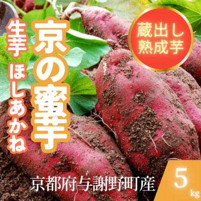 【先行受付】11月上旬以降順次発送 訳あり 京の蜜芋 ほしあかね 生芋 約5kg 土付き