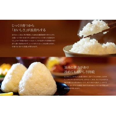 令和7年産新米　京都府与謝野町産コシヒカリ「京の豆っこ米」精米10kg　山口農園こだわりの特別栽培米