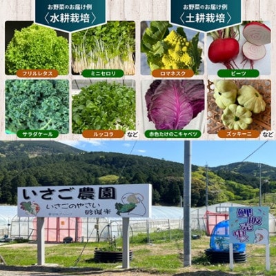 【2027年1月中旬以降順次発送】冬のお野菜 おすすめセット(3～5種)【京都府与謝野町】