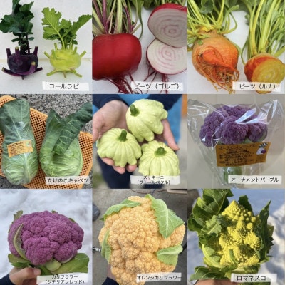 【2027年1月中旬以降順次発送】冬のお野菜 おすすめセット(3～5種)【京都府与謝野町】