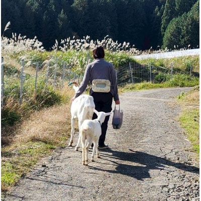 京都府与謝野町で ヤギとのふれあい体験 1名様用