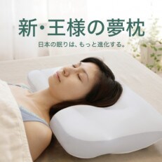 新・王様の夢枕 標準タイプ (テンセル生地 専用カバー付き) 寝返り 極小ビーズ 枕 | ふるさと納税のお礼品