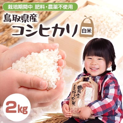 栽培期間中、肥料農薬を使わずに育てたコシヒカリ【白米2kg】