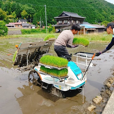栽培期間中、肥料農薬を使わずに育てたコシヒカリ【白米2kg】