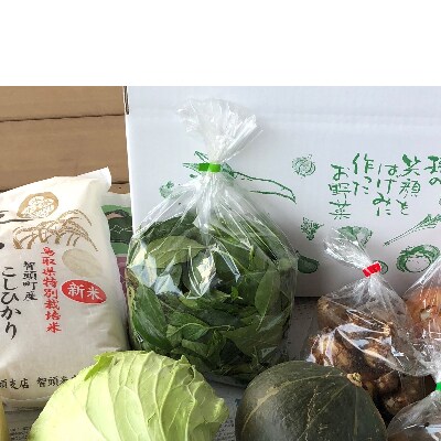 智頭町特産品詰め合わせ　11月下旬発送