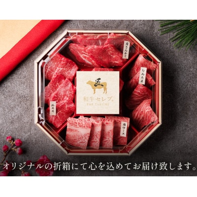 【化粧箱入り】和牛セレブの鳥取和牛5種食べ比べ500g