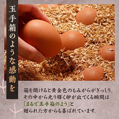 天美卵もみがら詰め30個