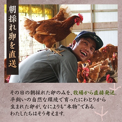 天美卵もみがら詰め30個