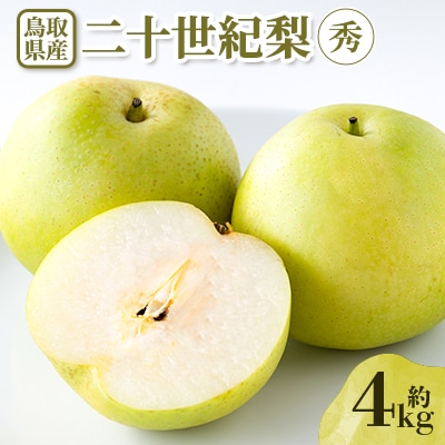 【先行予約】二十世紀梨　秀 約4kg