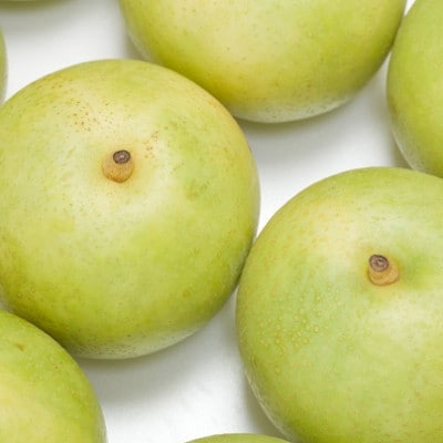 【先行予約】二十世紀梨　秀 約4kg