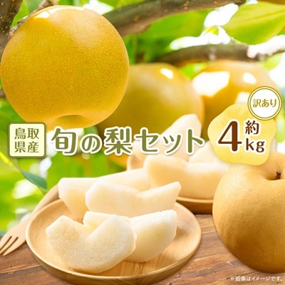 【訳あり】鳥取県産旬の梨セット 4kg
