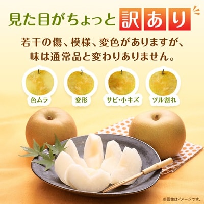 【訳あり】鳥取県産旬の梨セット 4kg