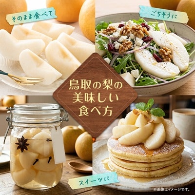 【訳あり】鳥取県産旬の梨セット 4kg