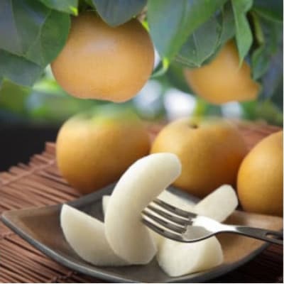 【先行予約】【品種はおまかせ】旬の赤梨セット　4kg
