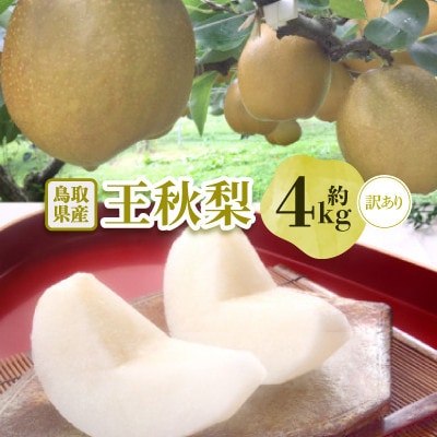 2025年発送【訳あり】王秋梨 4kg(4～13玉前後)