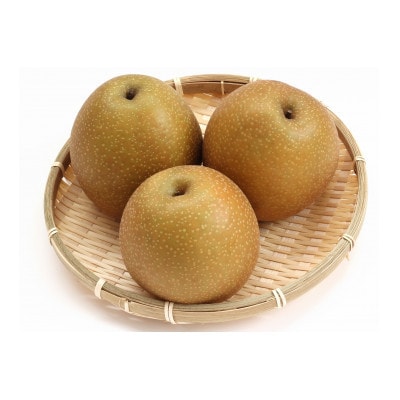 2025年発送【訳あり】王秋梨 4kg(4～13玉前後)