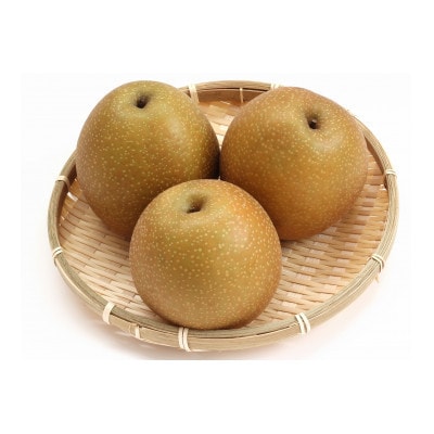 2026年発送【訳あり】王秋梨 5kg(5～16玉前後)