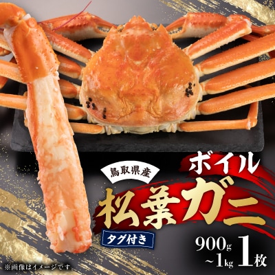 鳥取県産タグ付きボイル松葉ガニ1枚(900g～1kg)