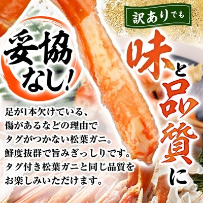 鳥取県産ボイル松葉ガニ訳あり!　2枚セット