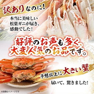 鳥取県産ボイル松葉ガニ訳あり!　2枚セット