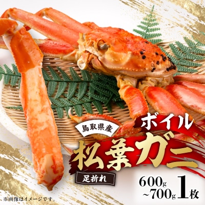 鳥取県産　厳選!ボイル足折松葉ガニ中1枚(600～700gサイズ)