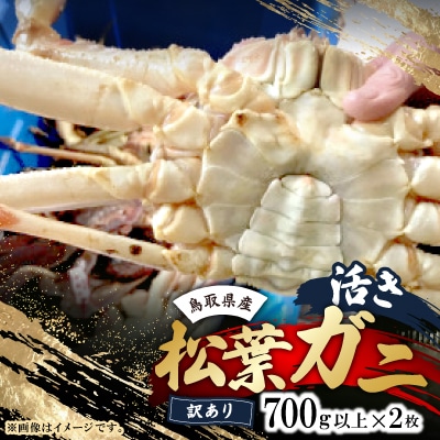 鳥取県産　活　松葉ガニ訳あり!　700g以上×2枚セット