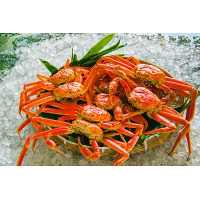 鳥取県産　ボイル松葉ガニおまかせ　3kg