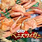鳥取境港産　特選A級ベニズワイガニ詰め合わせ(3～4枚)