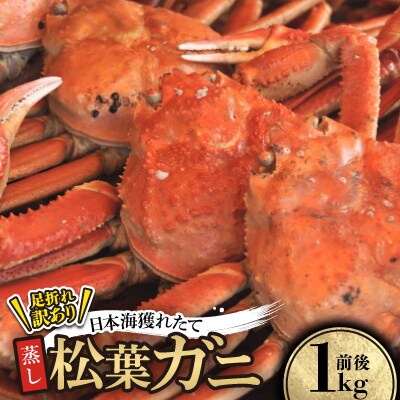 【先行予約】訳あり足が折れた蒸し松葉ガニ1kg前後