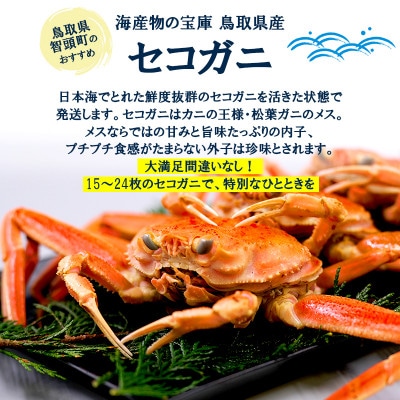 【新物とれたて】せこがに セイコガニ 活生 姿 約3kg 15～24枚 松葉ガニのメス 鳥取県