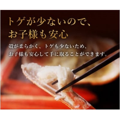 【蟹セレブ】ズワイガニ(紅ズワイガニ)大1杯(500～600g×1)