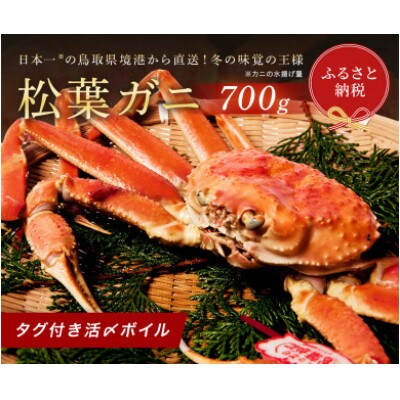 【蟹セレブ】タグ付き活〆ボイル・松葉がに(中・700g前後)