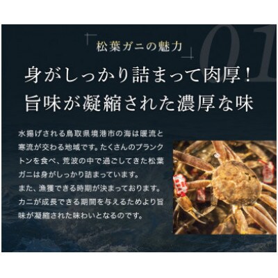 【蟹セレブ】タグ付き活〆ボイル・松葉がに(中・700g前後)