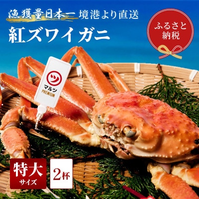 【蟹セレブ】ズワイガニ(紅ズワイガニ)特大2杯(600～700g)