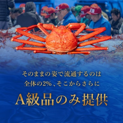 【蟹セレブ】ズワイガニ(紅ズワイガニ)特大2杯(600～700g)