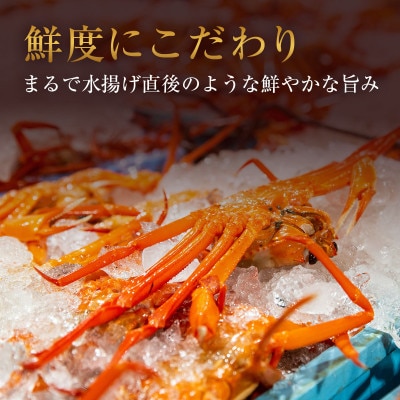 【蟹セレブ】カット生紅ずわい蟹1.5kg