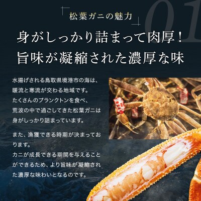 【訳あり】活〆ボイル松葉がに2杯(500～700g×2杯)