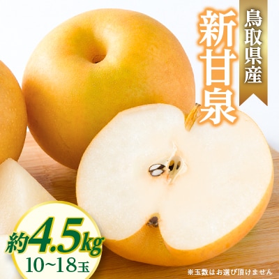 新甘泉