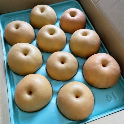 新甘泉