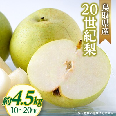 20世紀梨