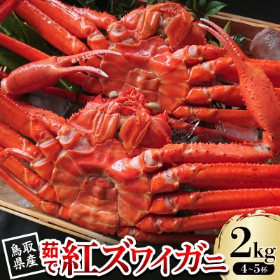 【先行予約】鳥取県産 茹で紅ズワイガニ 2kg(4～5杯) 2025年9月～2026年5月発送
