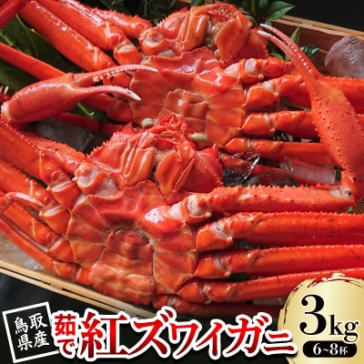 【先行予約】鳥取県産 茹で紅ズワイガニ 3kg(6～8杯) 2025年9月～2026年5月発送