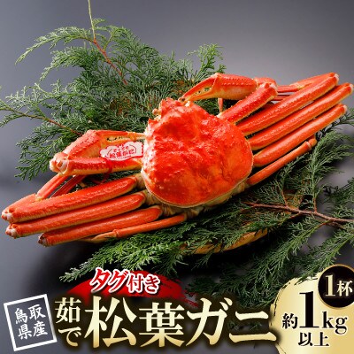 【先行予約】鳥取県産 タグ付き 茹 松葉がに 1kg以上×1杯(中村商店)2025年11月発送