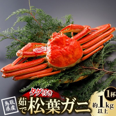 【先行予約】鳥取県産 タグ付き 茹松葉がに 1kg以上×1杯(中村商店)25年12月・26年1月発送